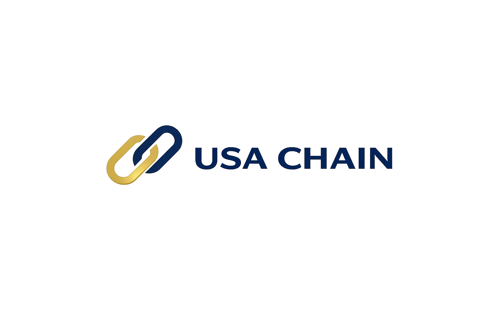 USA CHAIN logo